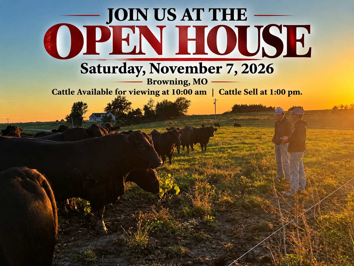 Open House Graphic
