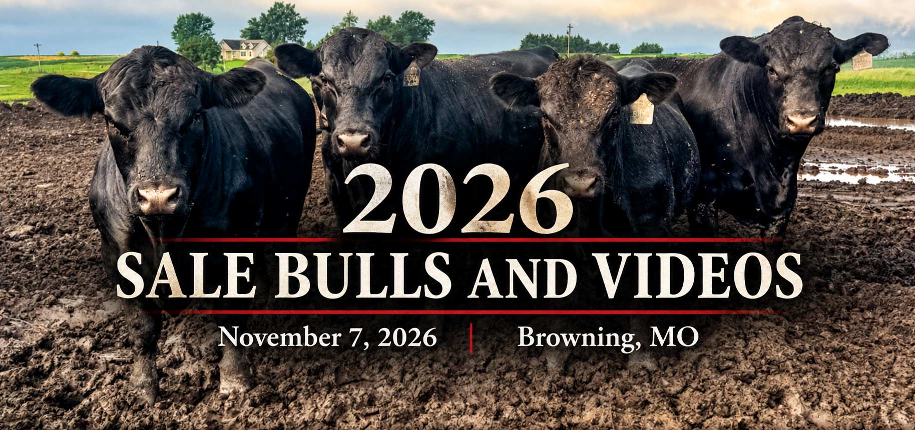2026 Sale Banner